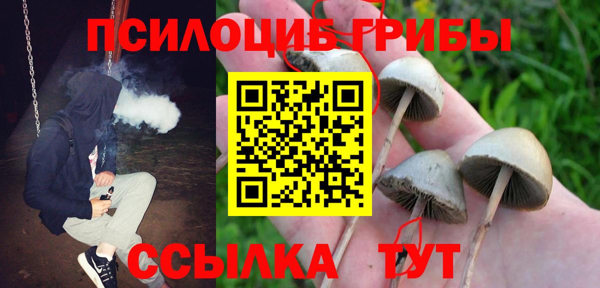 Псилоцибиновые грибы прущие грибы Ялуторовск