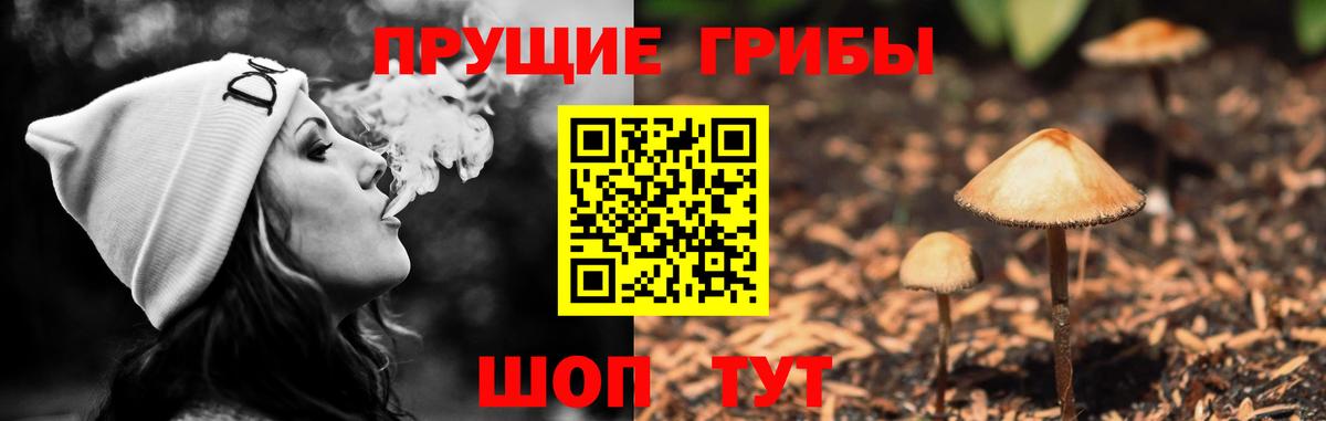 Галлюциногенные грибы Psilocybine cubensis  Вход с VPN  Ялуторовск 